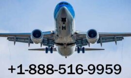 5 Ways to Reach Hawaiian Customer Service by Phone, Email, or Chat: A Step-by-Step Guide