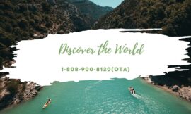 Ways To Check TAP Air Portugal Baggage Policy