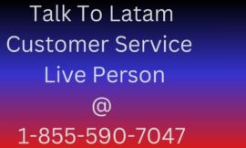 8 Ways TO Reach Spirit Airlines Customer Service by Phone, Email, or Chat: A Stepn by Step Guide