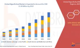 Algae Biofuel Market Gains Momentum with Rising Interest in Sustainable and Alternative Energy Sources