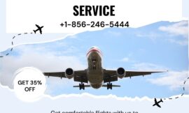 11 Ways To Talk To Someone At American Airlines Via Phone, Email, Or Chat Options: A Step By Step Guide