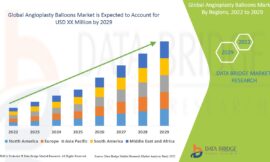Angioplasty Balloons Market Grows with Rising Cardiovascular Disease Burden and Minimally Invasive Procedure Adoption