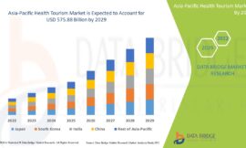 Asia-Pacific Health Tourism Market Thrives with Affordable Medical Services and Rising International Patient Influx