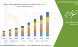 Asia-Pacific Raisins Market Set to Expand Amid Rising Health Consciousness and Demand for Natural Snacks