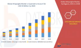 Attapulgite Market: Insights and Competitive Analysis