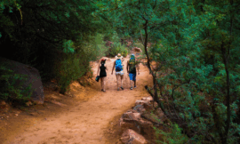 Best Hikes and Trails in Gir National Park