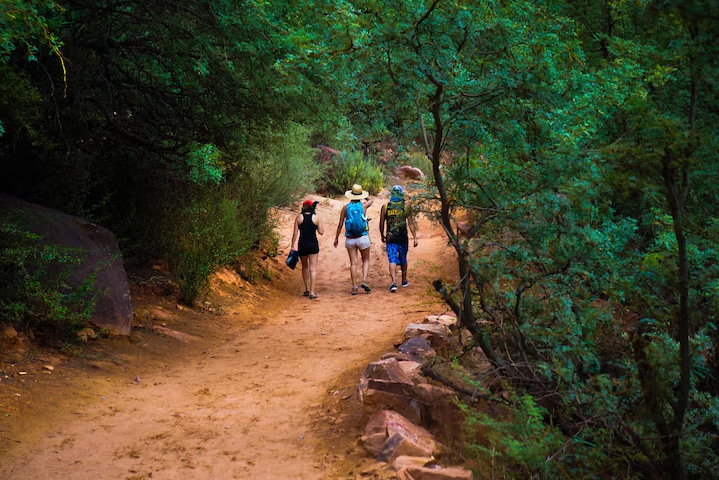 Read more about the article Best Hikes and Trails in Gir National Park
