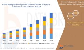 Biodegradable Disposable Tableware Market Challenges: Growth, Share, Value, Size, and Scope