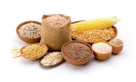 Top Agro Products Manufacturers in India: Your Guide to Quality and Affordability