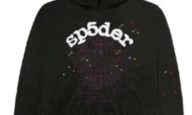 The Emergence of Sp5der hoodie in the Fashion World