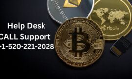 How Do I Contact Trezor Wallet Io Start Wallet Support?