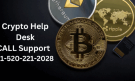 Ways To Reach Trezor Phone Number By Phone, Chat, And Email: Travel Guide