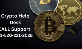 How To Contact Trezor Number By: Phone, Email, And Chat Care Options Explained