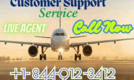 9 Ways to Reach Priceline Customer Service by Phone, Chat, and Email: A Full-Fledged Guide