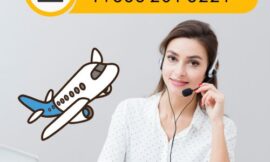 Breeze Airways US Contact Centre Guide: Phone, Email, and Care Chat Option Explain