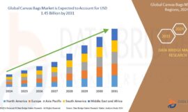 Sustainability Trends Propel Growth in Global Canvas Bags Market