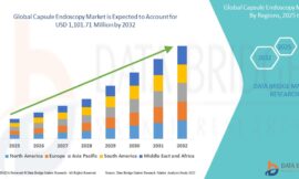 Capsule Endoscopy Market Insights: Growth, Share, Value, Size, and Trends