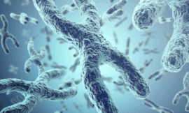 CAR T-Cell Therapy: Latest Advances in Cancer Care