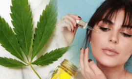 https://www.facebook.com/Northfields.CBD.Oil.France.Officielle