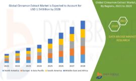 Cinnamon Extract Market Revenue Analysis: Growth, Share, Value, Size, and Insights