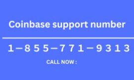 How to Contact Coinbase Wallet Support Team – Customer Service & Helpline Assistance Explained