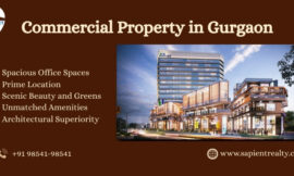 Commercial Property for Sale in Gurgaon – Sapient Realty