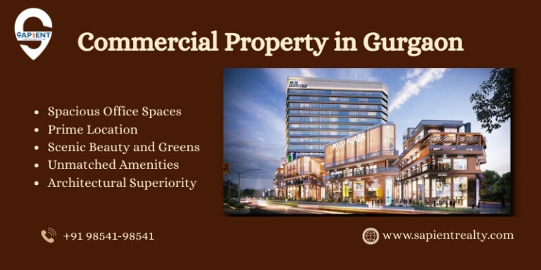 Read more about the article Commercial Property for Sale in Gurgaon – Sapient Realty