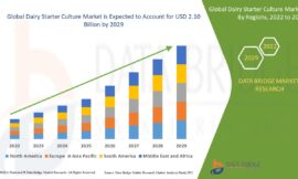 Dairy Starter Culture Market Revenue Analysis: Growth, Share, Value, Size, and Insights