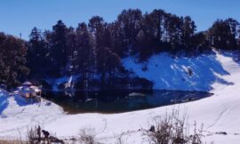 Dayara Bugyal Trek,Dayara bugyal trek distance,Dayara Bugyal trek location,Dayara Bugyal trek best time,Dayara Bugyal trek height,Dayara bugyal trek itinerary,Dayara Bugyal Trek map