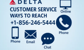 5 Ways to Connect with Delta Customer Service Live Person via Phone, Chat or Email – Full Guide Here