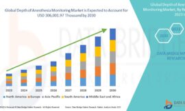 Depth of Anesthesia Monitoring Market Research Report: Growth, Share, Value, Size, and Analysis