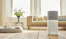Smog vs Air Purifier How to Protect Your Health in Polluted Environments