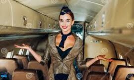 Ways to Reach British Airways Customer Service Directly by Phone Number, Chat, and Email: An Explained Guide