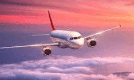 Call To Connect with a Live United Airlines Support Rep – Customer Service