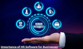 Top Small Business HR Software with API Integration