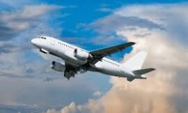 Ways To Communicate With United Airlines: Phone Numbers, Chat, And Email Guide For Free