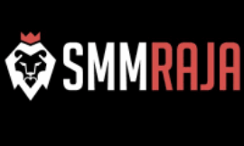 Skyrocket Your Online Presence The Power of SMM Panels Explained