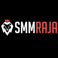 Read more about the article Skyrocket Your Online Presence The Power of SMM Panels Explained
