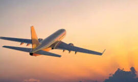23 Ways to Reach American Airlines Customer Service by Phone Number and Email: A Step by Step Guide