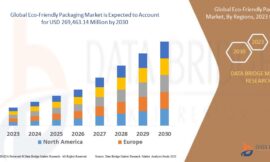 Eco-Friendly Packaging Market Growth and Future Trends