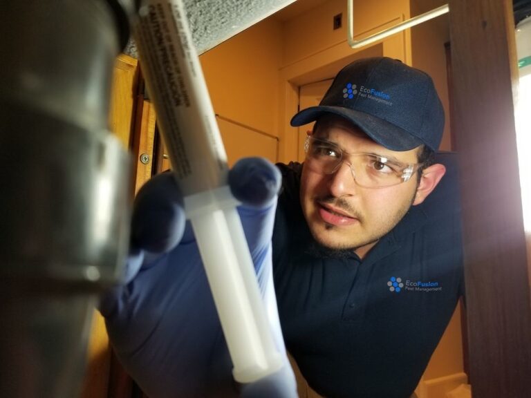Read more about the article Top-Quality Pest Control Services Near Glen Ridge, NJ: What You Need to Know