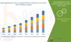 Egg Replacer Starch Ingredient Market Expands with Surge in Vegan and Allergen-Free Product Demand