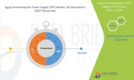 Egypt Uninterruptible Power Supply (UPS) Market Companies: Growth, Share, Value, Size, and Insights