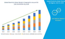 Electricity Meter Market Revenue Forecast: Growth, Share, Value, and Trends