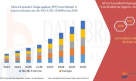 Expanded Polypropylene (EPP) Foam Market Challenges: Growth, Share, Value, Size, and Scope