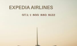 How do I talk to a real person on Expedia?