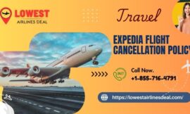 Expedia Flight Cancellation Policy – A Complete Guide for Hassle-Free Cancellations