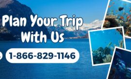 Ways to Call Expedia Customer Service Directly via Phone, Chat, and Email: Step-by-Step Guide