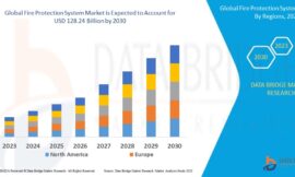 Insect Protein Market USD 6.16 billion by 2032