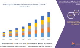 Flip Flops Market Companies: Growth, Share, Value, Size, and Insights
